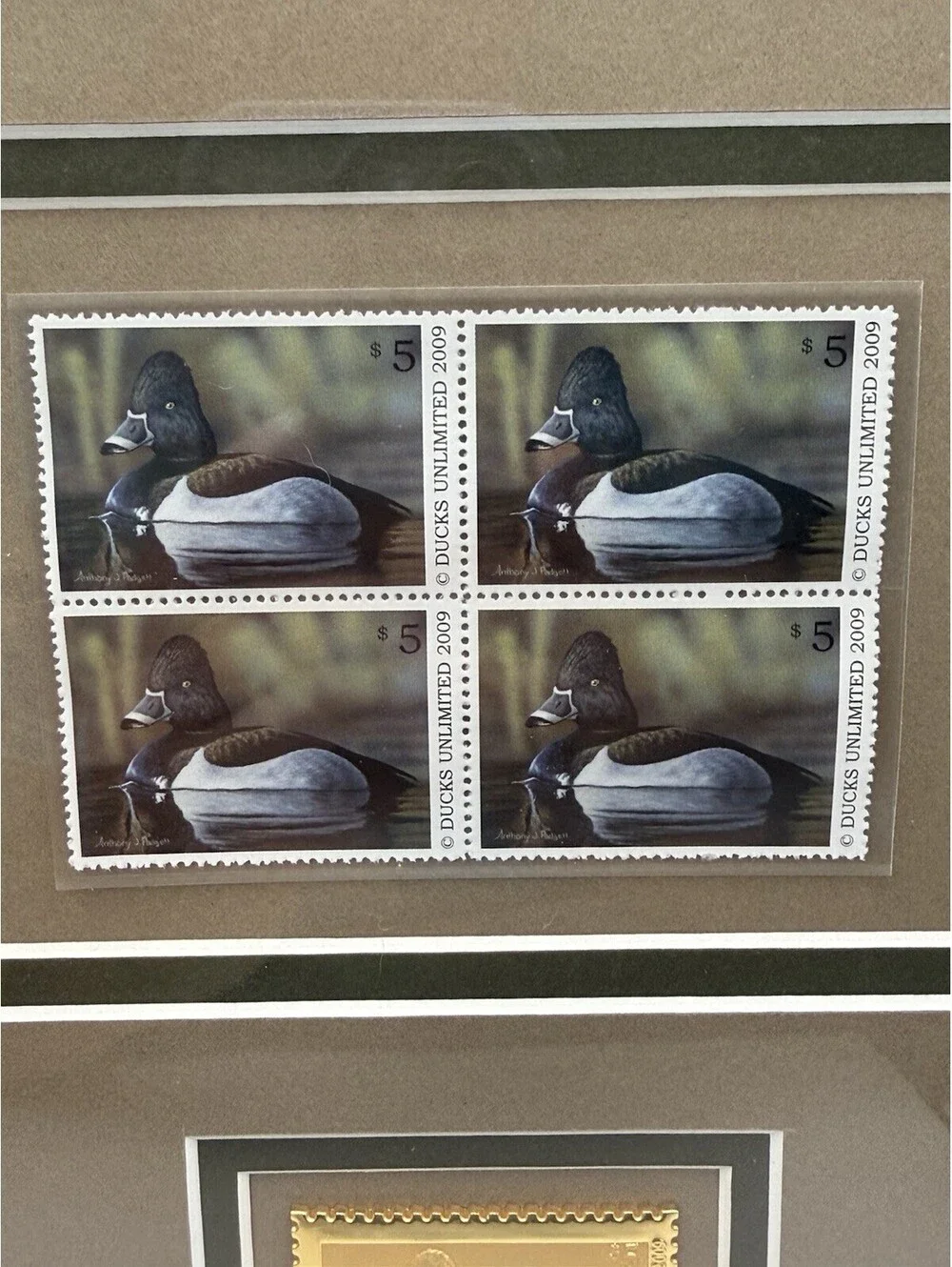 N/A 2009 ducks